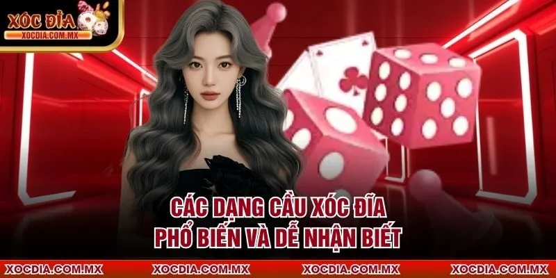 Các dạng cầu xóc đĩa phổ biến và dễ nhận biết