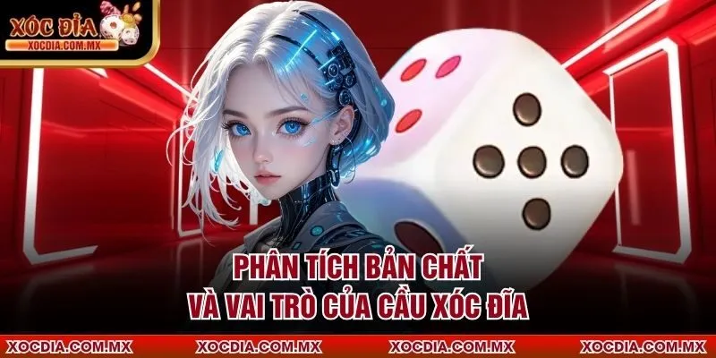 Phân tích bản chất và vai trò của cầu xóc đĩa