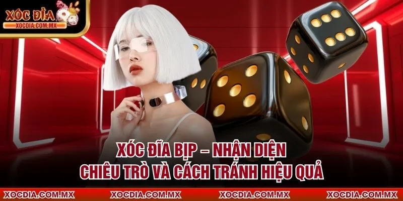 Xóc Đĩa Bịp – Nhận Diện Chiêu Trò Và Cách Tránh Hiệu Quả