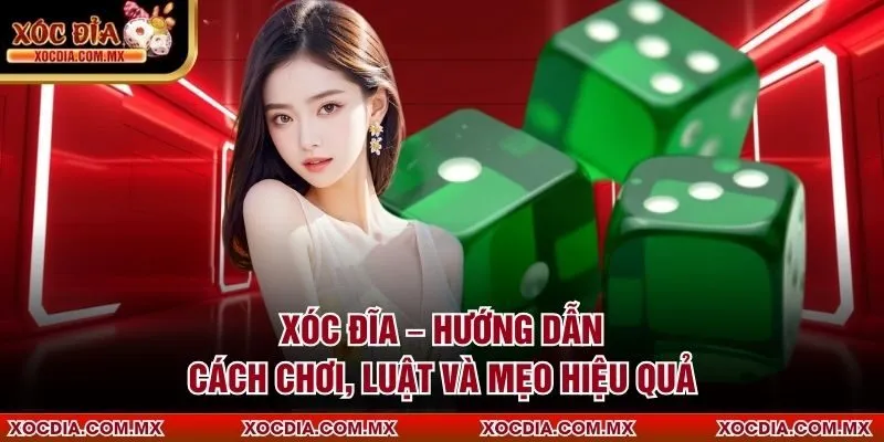 Xóc Đĩa - Hướng dẫn cách chơi luật và mẹo hiệu quả